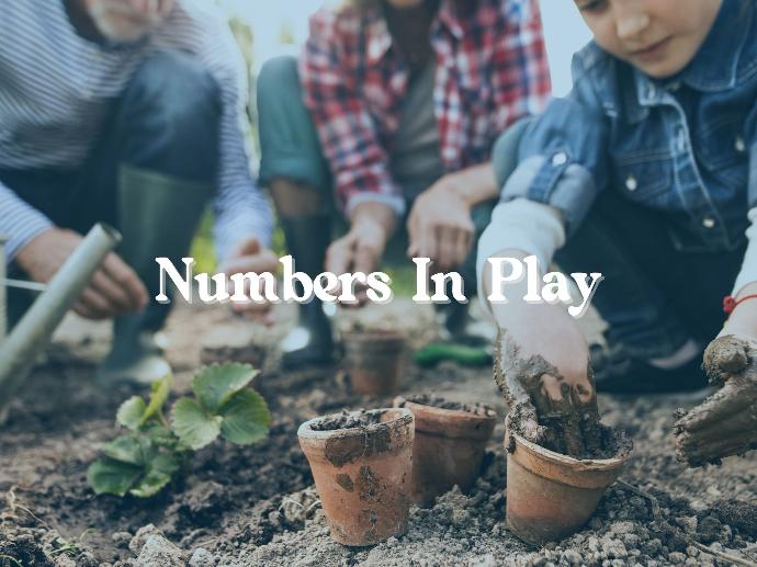 Numbers In Play