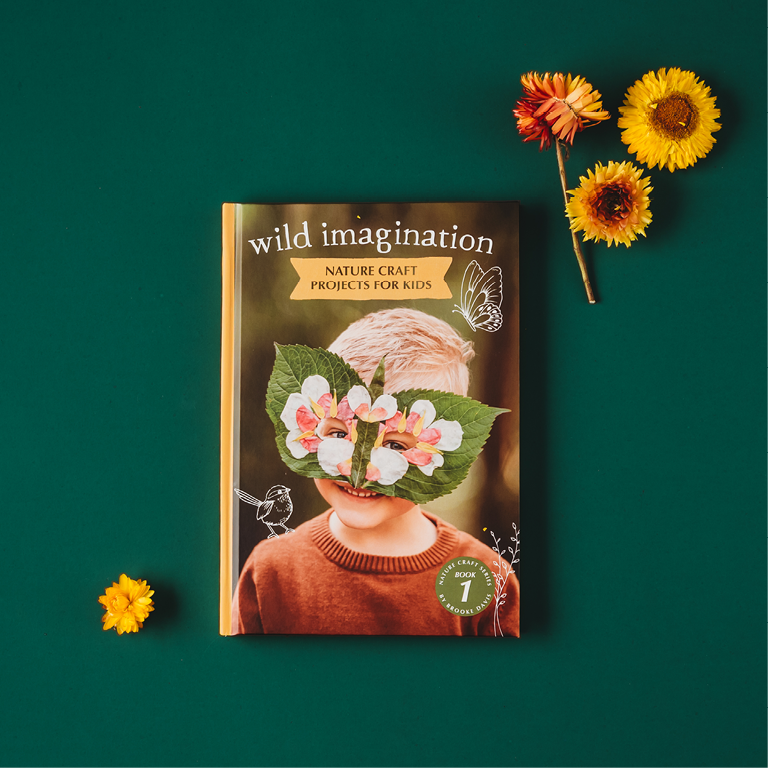 [IMA-WS] Wild Imagination Book